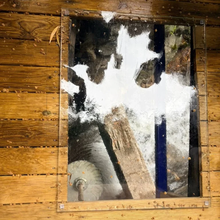 -16