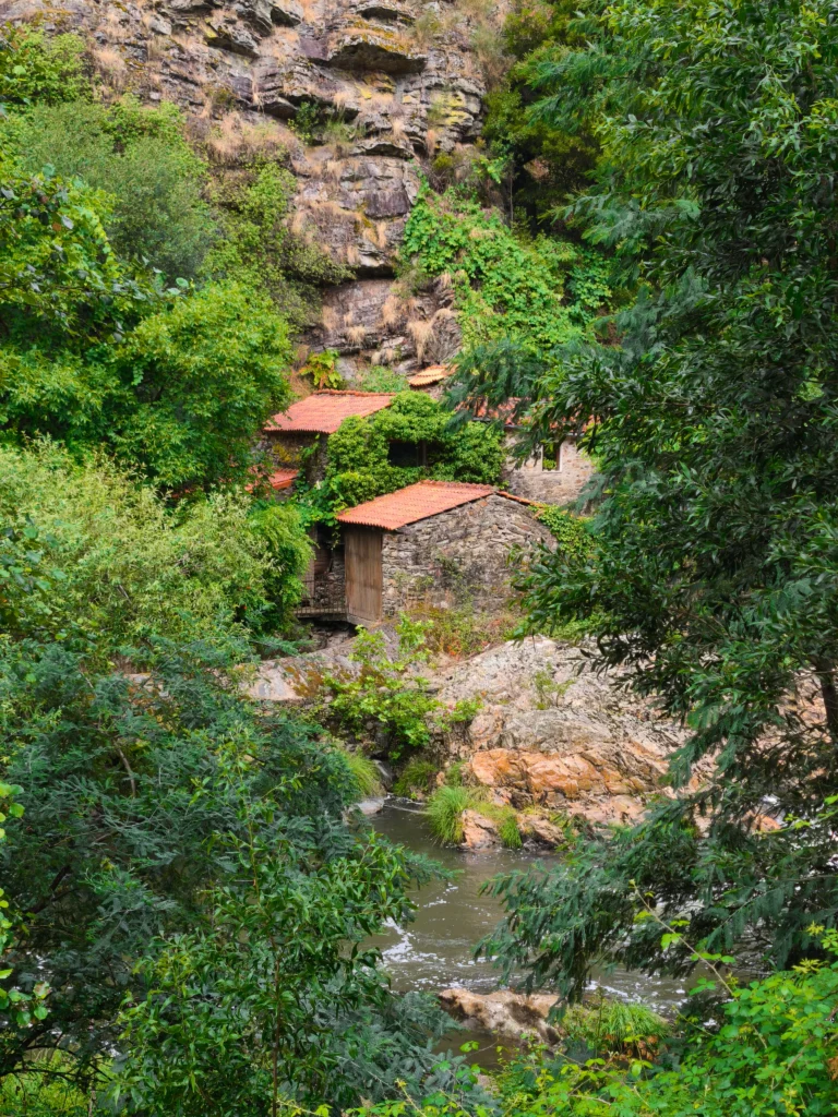 MVIMG_20260625_125853
